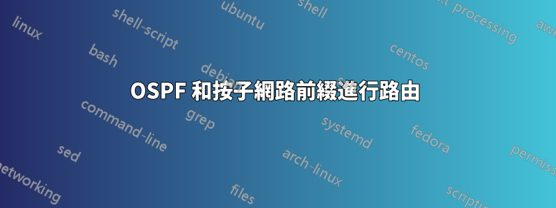 OSPF 和按子網路前綴進行路由