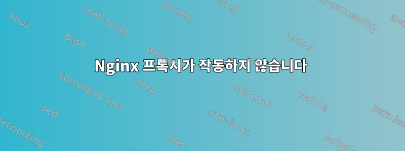 Nginx 프록시가 작동하지 않습니다