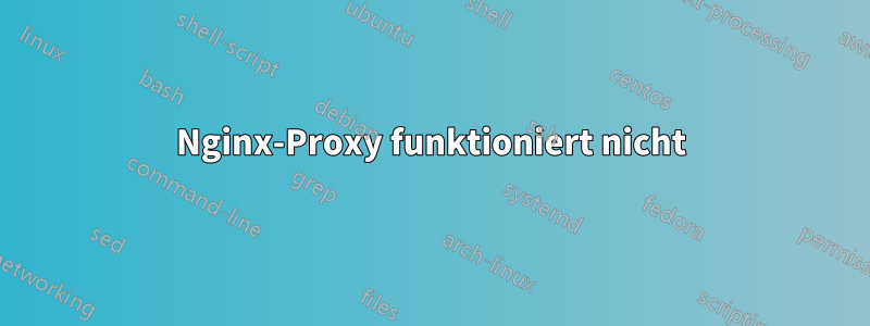 Nginx-Proxy funktioniert nicht