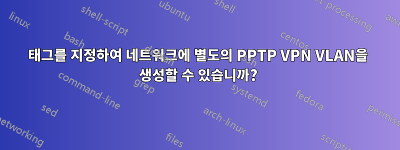 태그를 지정하여 네트워크에 별도의 PPTP VPN VLAN을 생성할 수 있습니까?