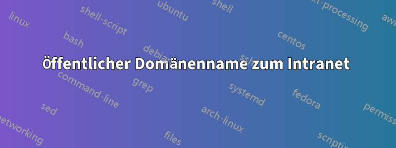 Öffentlicher Domänenname zum Intranet