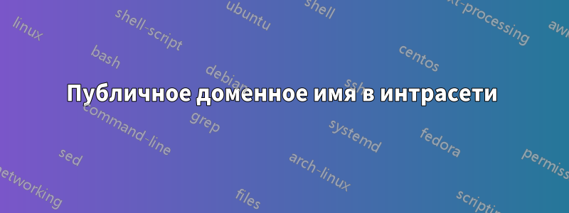 Публичное доменное имя в интрасети