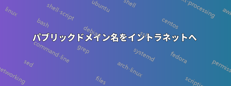 パブリックドメイン名をイントラネットへ