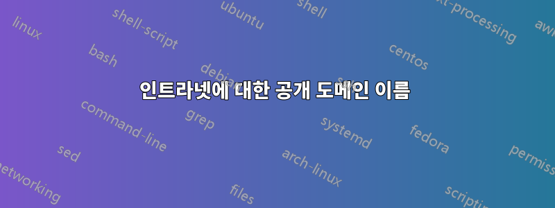 인트라넷에 대한 공개 도메인 이름