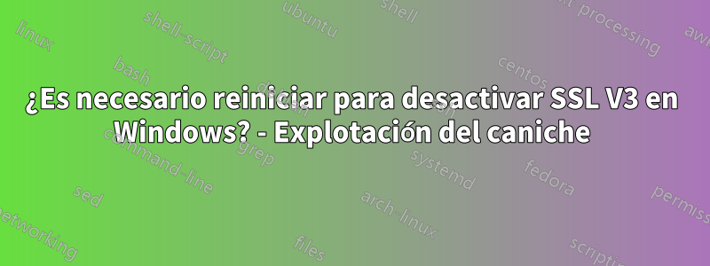 ¿Es necesario reiniciar para desactivar SSL V3 en Windows? - Explotación del caniche