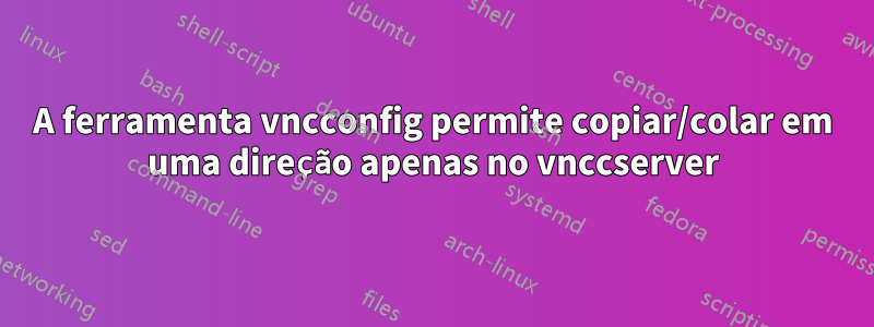 A ferramenta vncconfig permite copiar/colar em uma direção apenas no vnccserver