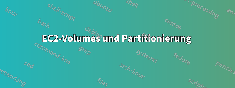 EC2-Volumes und Partitionierung