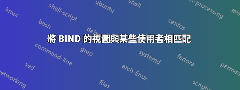 將 BIND 的視圖與某些使用者相匹配