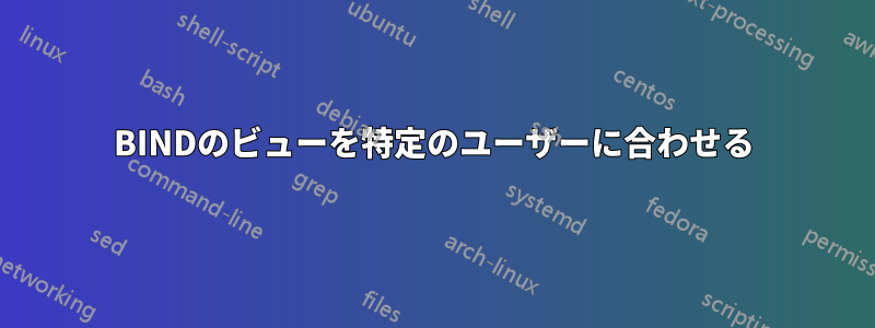 BINDのビューを特定のユーザーに合わせる