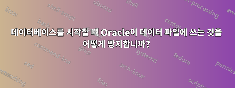 데이터베이스를 시작할 때 Oracle이 데이터 파일에 쓰는 것을 어떻게 방지합니까?