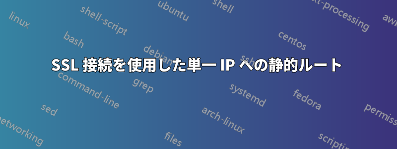SSL 接続を使用した単一 IP への静的ルート