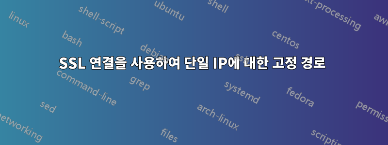 SSL 연결을 사용하여 단일 IP에 대한 고정 경로