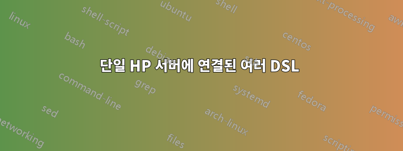 단일 HP 서버에 연결된 여러 DSL