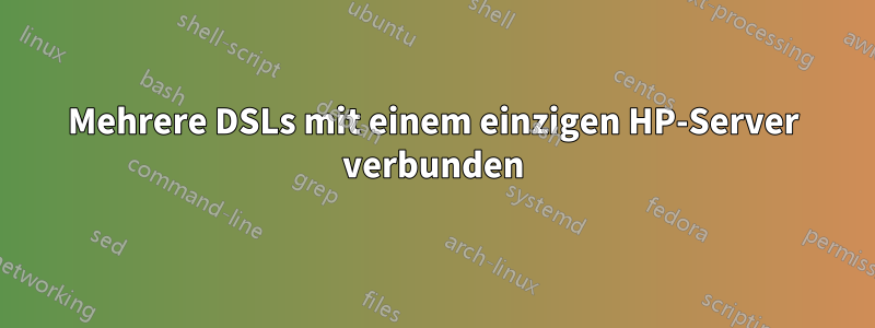 Mehrere DSLs mit einem einzigen HP-Server verbunden