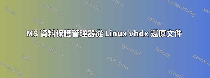 MS 資料保護管理器從 Linux vhdx 還原文件