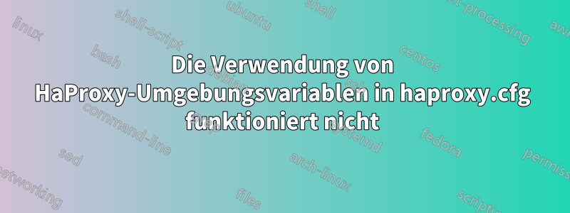Die Verwendung von HaProxy-Umgebungsvariablen in haproxy.cfg funktioniert nicht