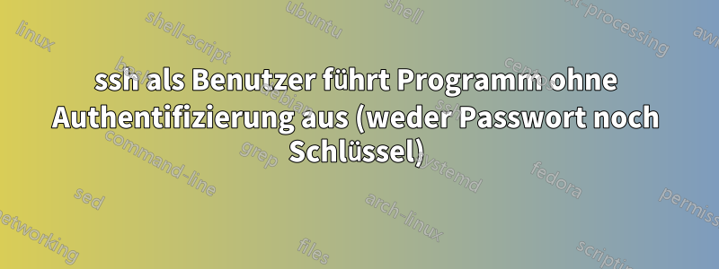 ssh als Benutzer führt Programm ohne Authentifizierung aus (weder Passwort noch Schlüssel)
