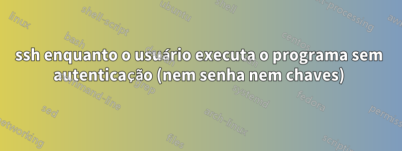 ssh enquanto o usuário executa o programa sem autenticação (nem senha nem chaves)