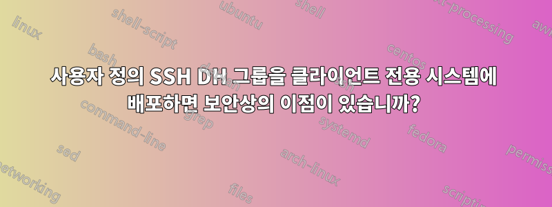 사용자 정의 SSH DH 그룹을 클라이언트 전용 시스템에 배포하면 보안상의 이점이 있습니까?
