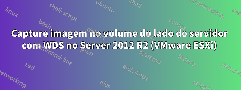 Capture imagem no volume do lado do servidor com WDS no Server 2012 R2 (VMware ESXi)