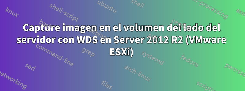 Capture imagen en el volumen del lado del servidor con WDS en Server 2012 R2 (VMware ESXi)