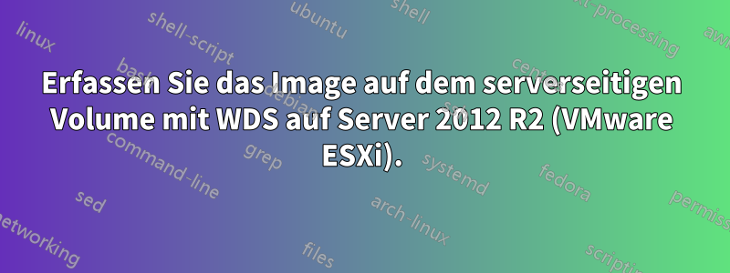 Erfassen Sie das Image auf dem serverseitigen Volume mit WDS auf Server 2012 R2 (VMware ESXi).