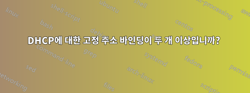 DHCP에 대한 고정 주소 바인딩이 두 개 이상입니까?
