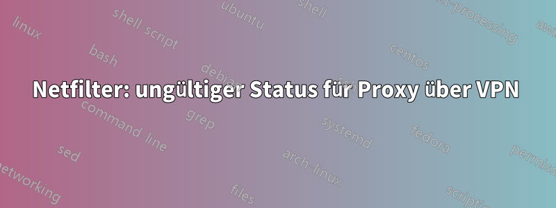 Netfilter: ungültiger Status für Proxy über VPN