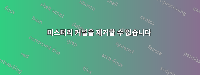미스터리 커널을 제거할 수 없습니다