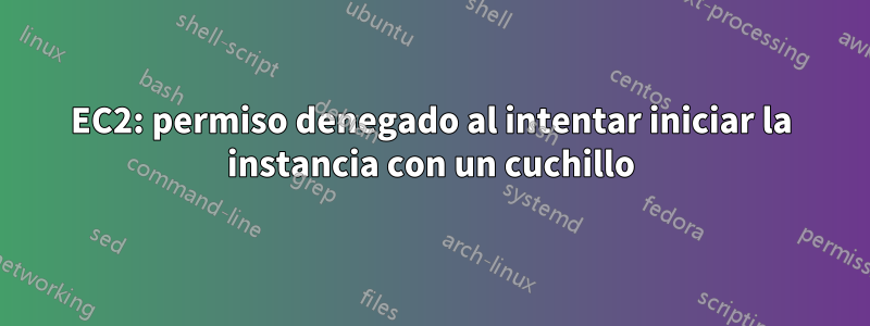EC2: permiso denegado al intentar iniciar la instancia con un cuchillo