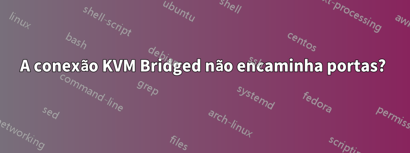 A conexão KVM Bridged não encaminha portas?