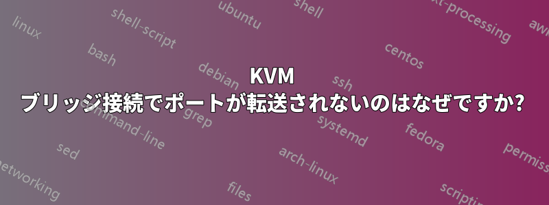 KVM ブリッジ接続でポートが転送されないのはなぜですか?