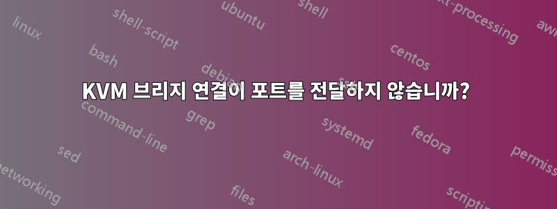 KVM 브리지 연결이 포트를 전달하지 않습니까?