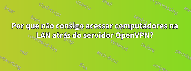 Por que não consigo acessar computadores na LAN atrás do servidor OpenVPN?
