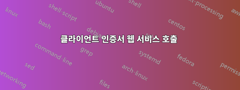 클라이언트 인증서 웹 서비스 호출