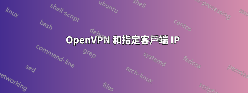 OpenVPN 和指定客戶端 IP
