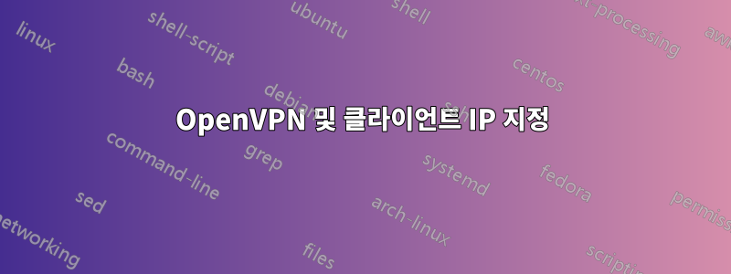 OpenVPN 및 클라이언트 IP 지정