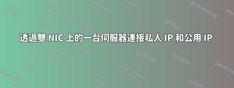 透過雙 NIC 上的一台伺服器連接私人 IP 和公用 IP