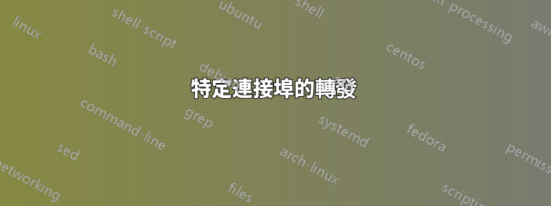 特定連接埠的轉發