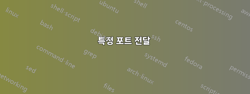 특정 포트 전달