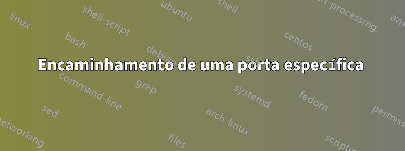 Encaminhamento de uma porta específica