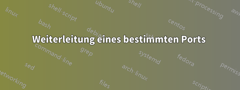 Weiterleitung eines bestimmten Ports