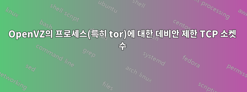OpenVZ의 프로세스(특히 tor)에 대한 데비안 제한 TCP 소켓 수