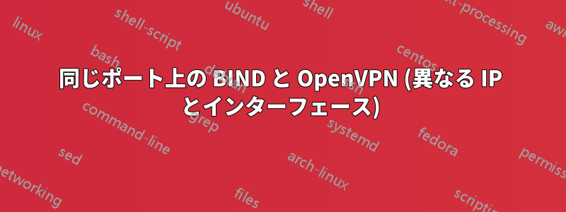 同じポート上の BIND と OpenVPN (異なる IP とインターフェース)
