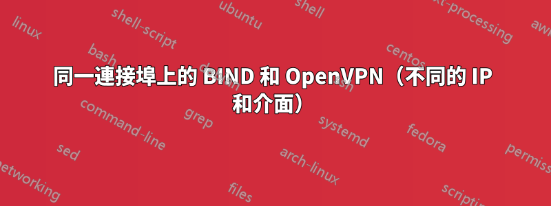 同一連接埠上的 BIND 和 OpenVPN（不同的 IP 和介面）