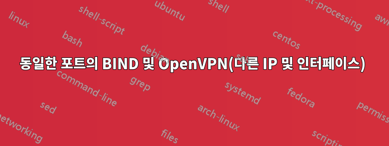 동일한 포트의 BIND 및 OpenVPN(다른 IP 및 인터페이스)