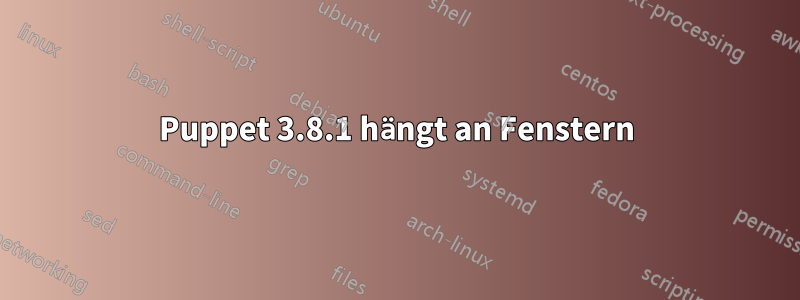 Puppet 3.8.1 hängt an Fenstern