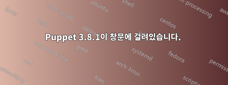 Puppet 3.8.1이 창문에 걸려있습니다.