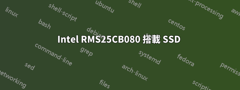 Intel RMS25CB080 搭載 SSD