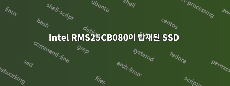 Intel RMS25CB080이 탑재된 SSD